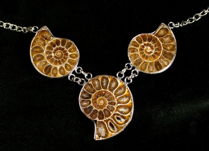 Triple Ammonite Necklace - Million Years Old #4508